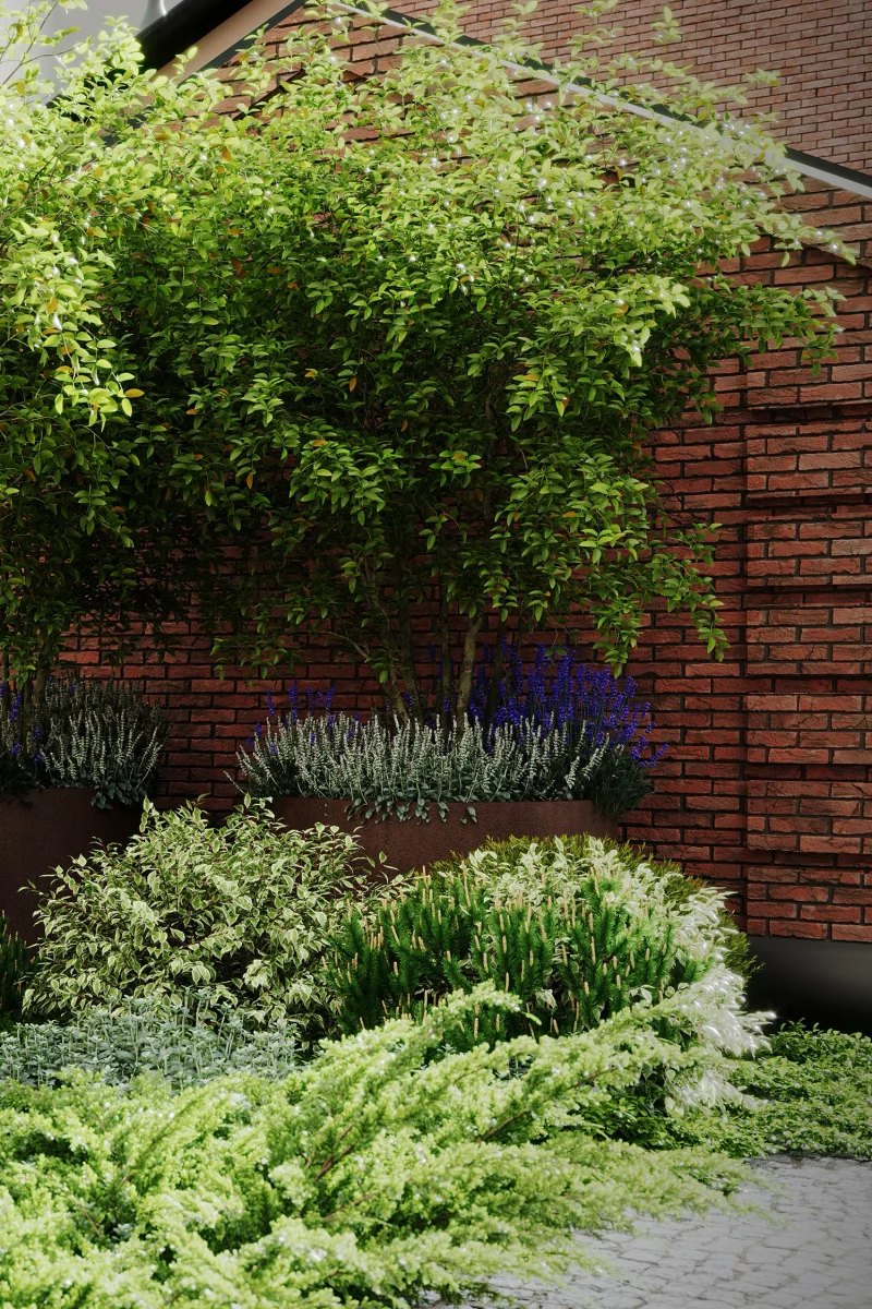 chainyi-dom m gallery