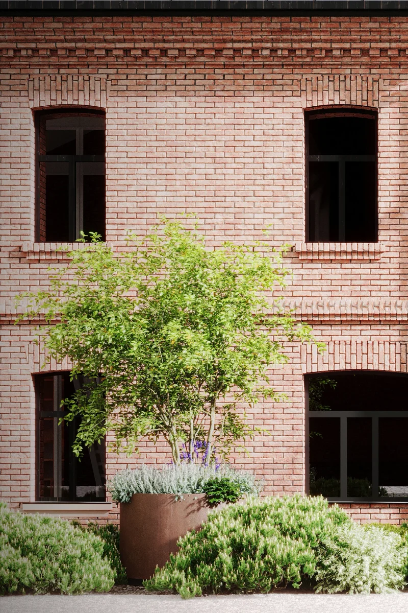 chainyi-dom m gallery