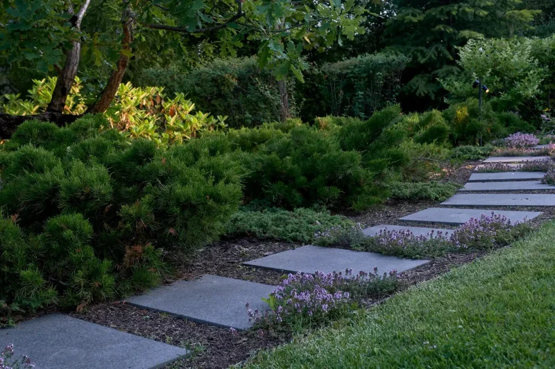 الحديقة الرائعة