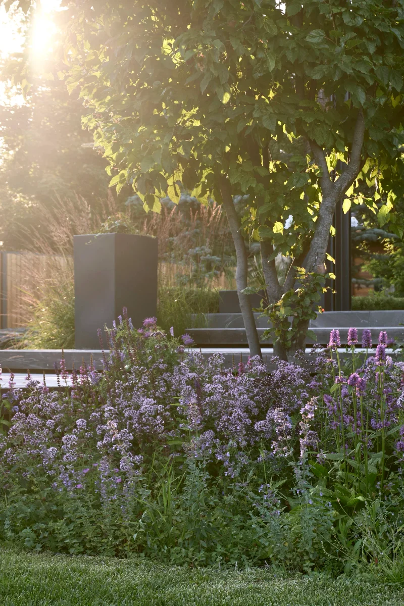 divnyy-sad m gallery