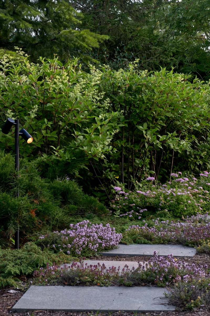 divnyy-sad m gallery