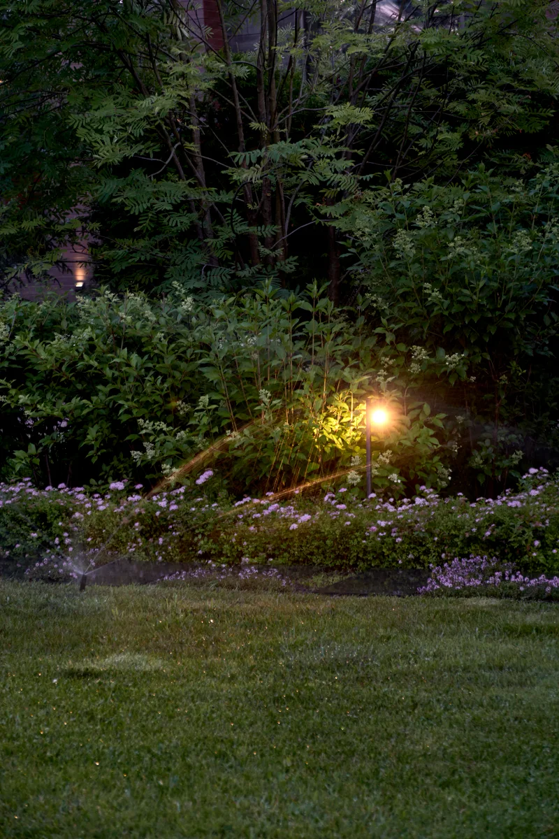 divnyy-sad m gallery