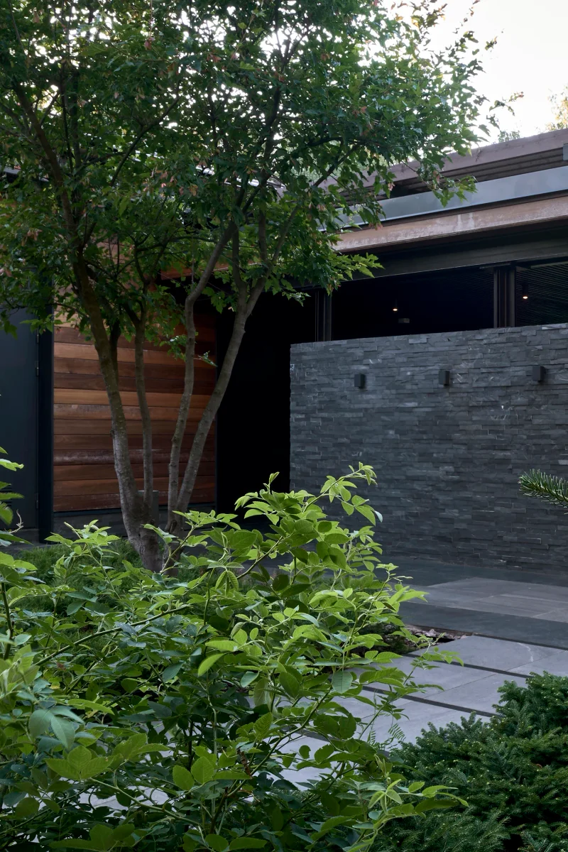 divnyy-sad m gallery