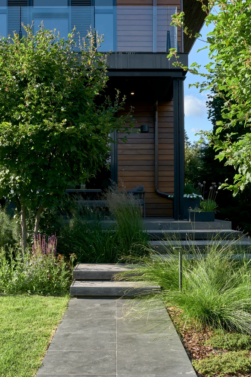 divnyy-sad m gallery