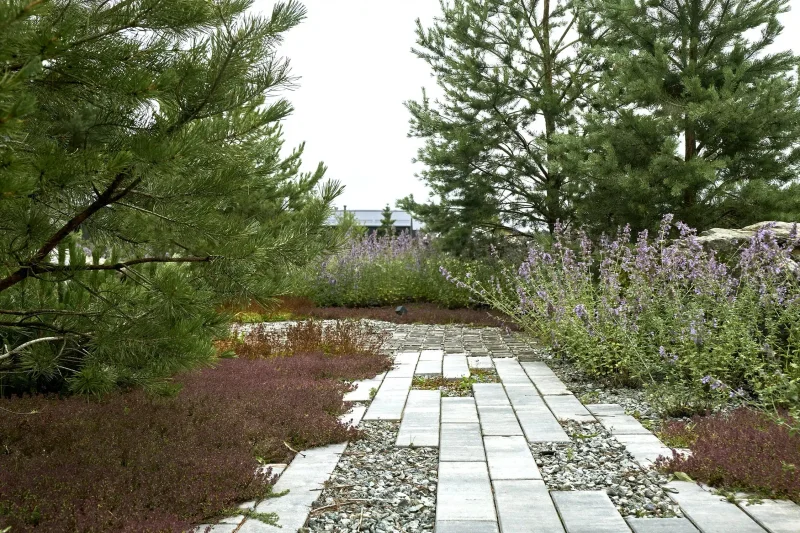 دوبلدوموفو