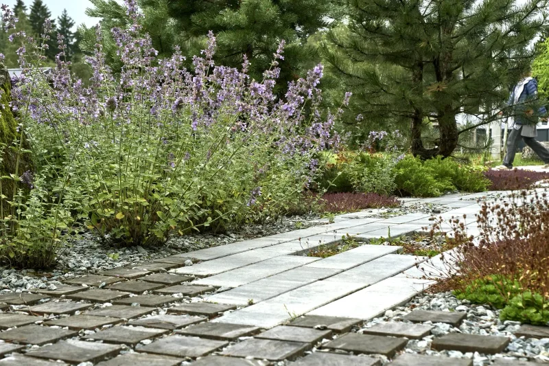 دوبلدوموفو