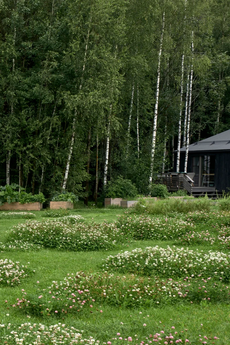 dubldomovo m gallery