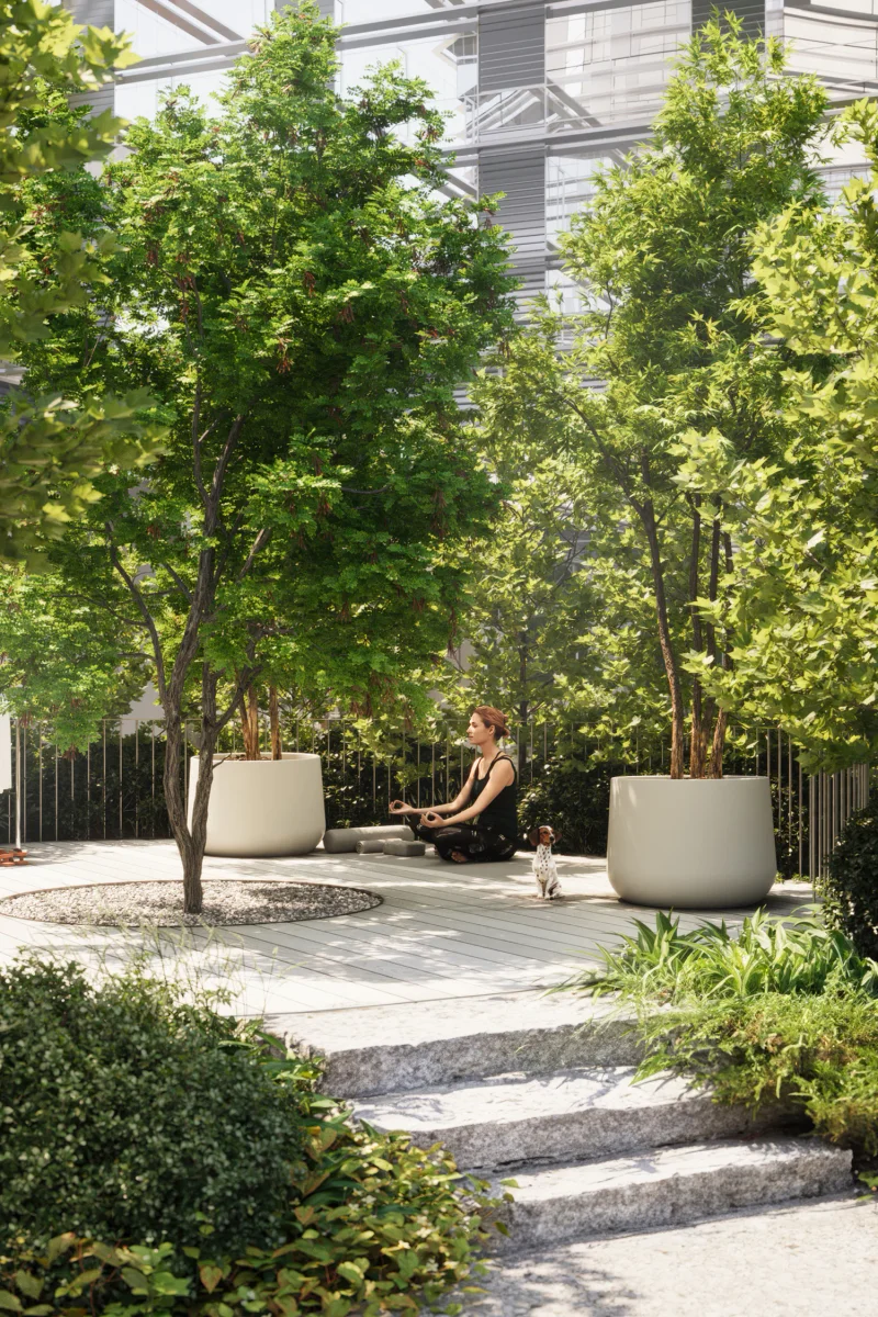 silhouette m gallery