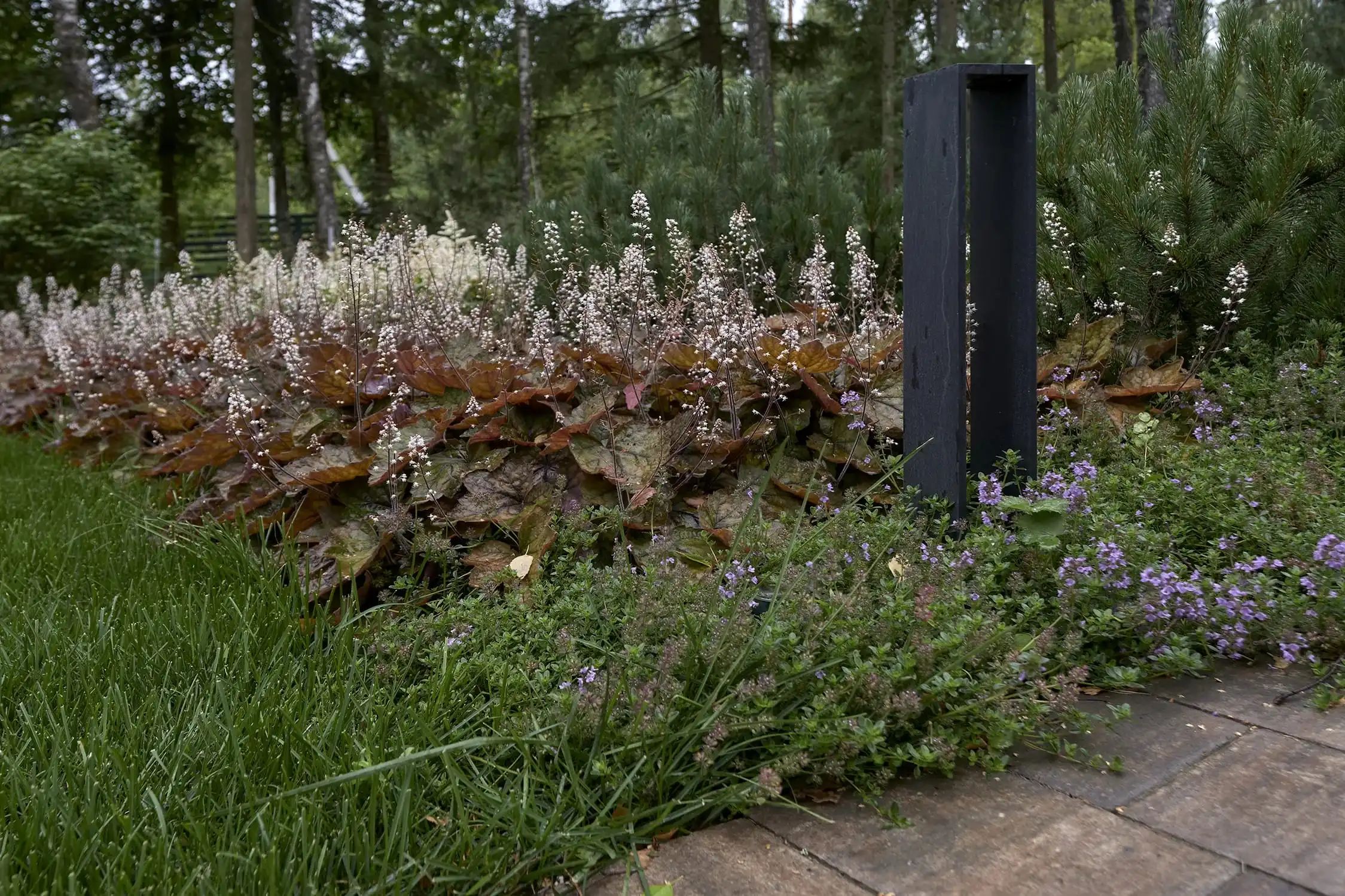 Анализ территории и лесной структуры