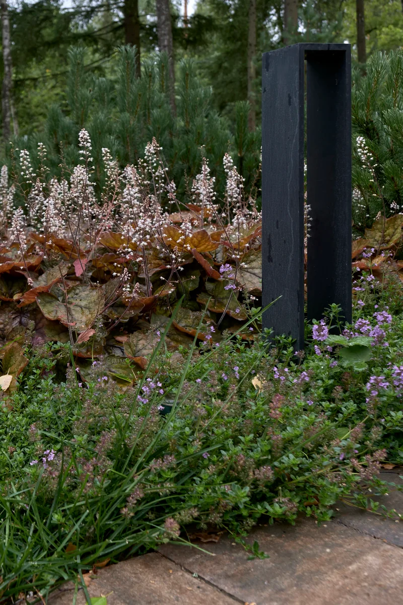 haus-im-wald m gallery