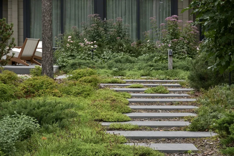 Северный сад