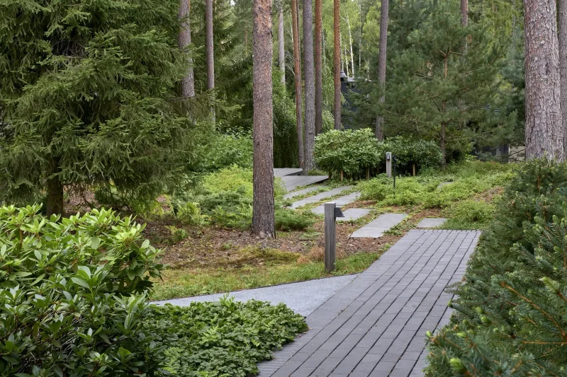 Северный сад