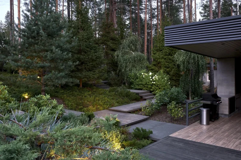 Северный сад