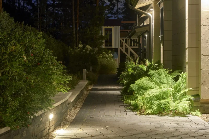 Северный сад