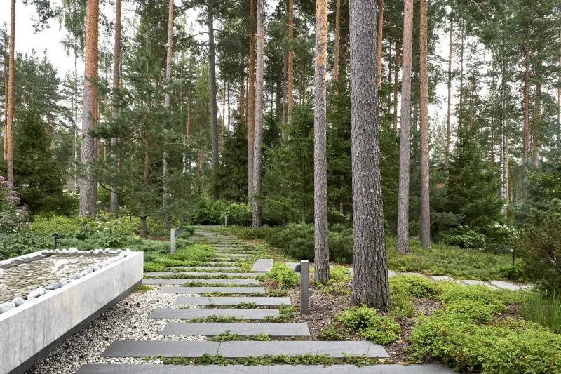 Северный сад