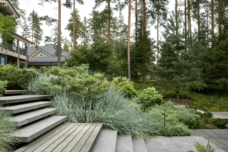 Северный сад