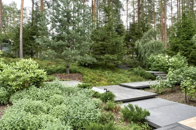 Северный сад