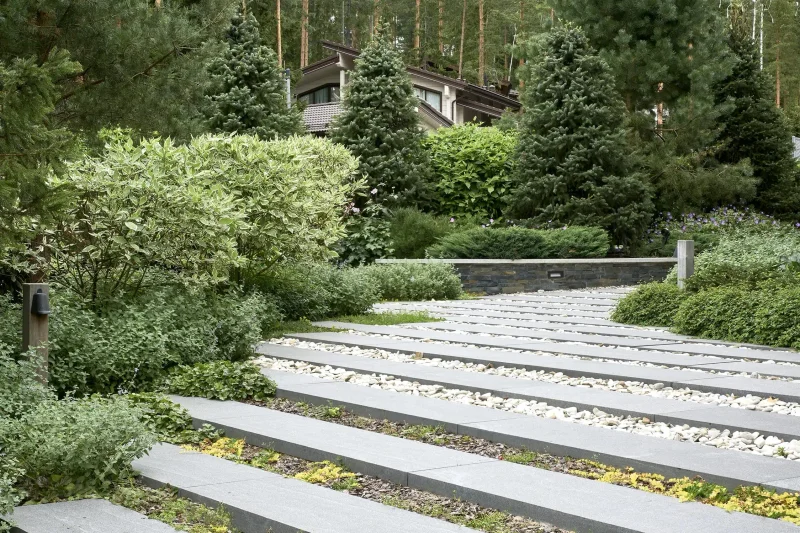 Северный сад