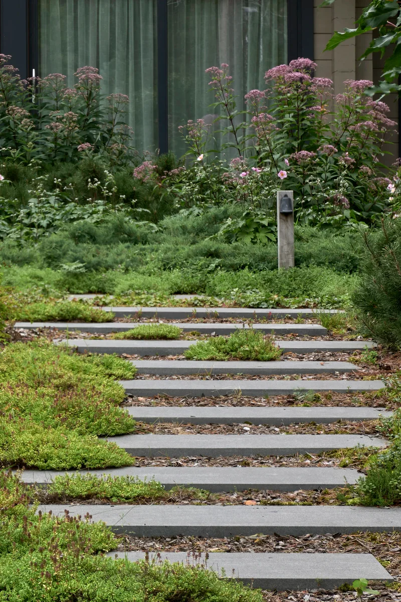 severnyy-sad m gallery