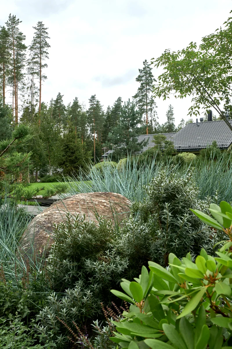 severnyy-sad m gallery