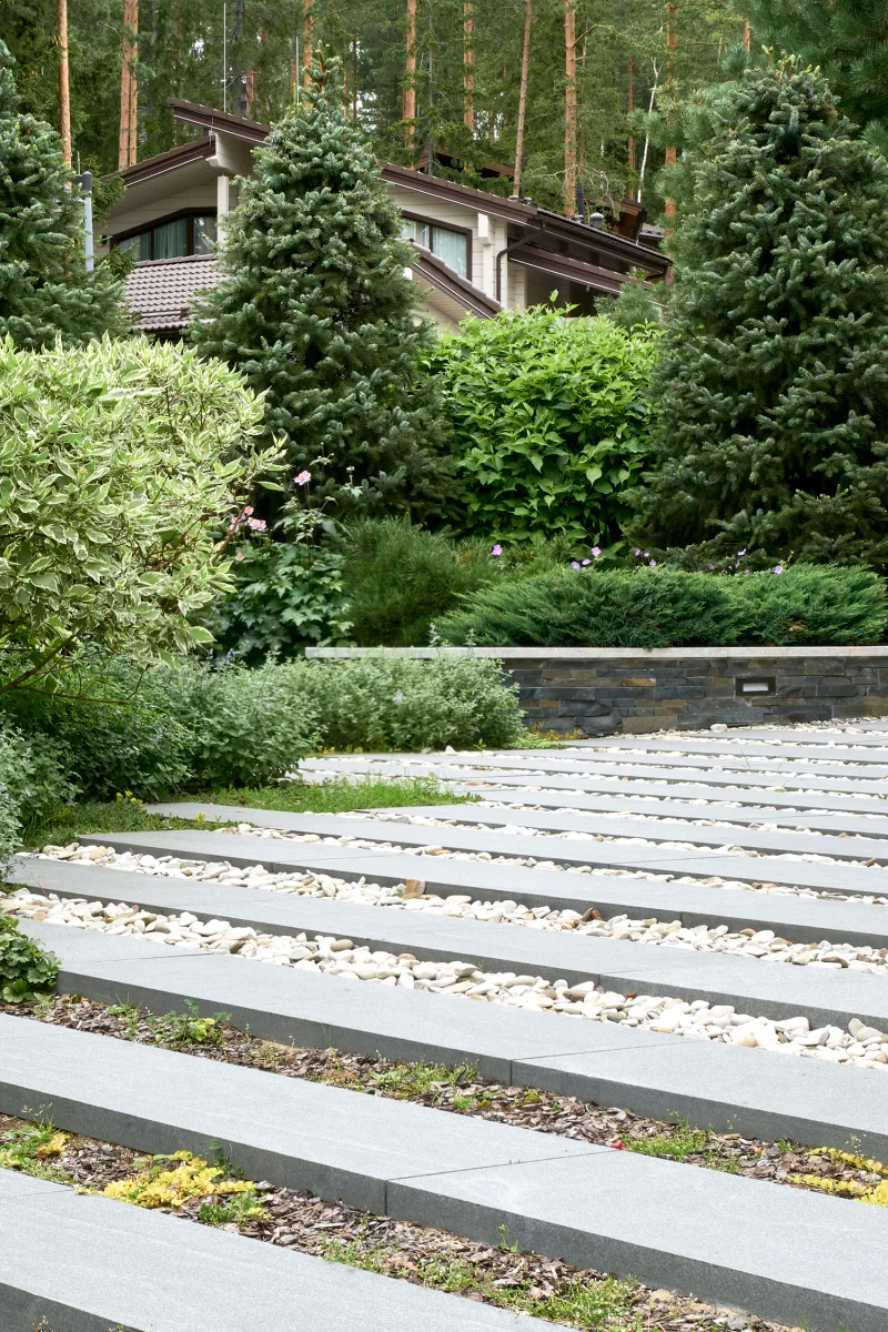 severnyy-sad m gallery