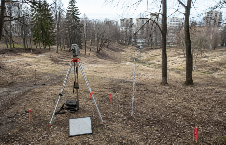 Анализ территории и исходных данных